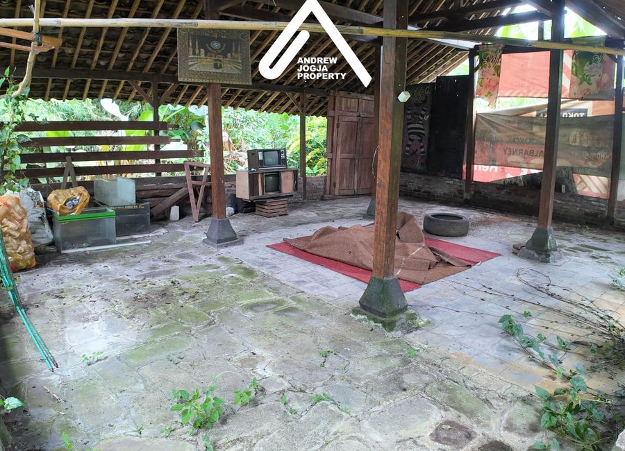 place photo 11
