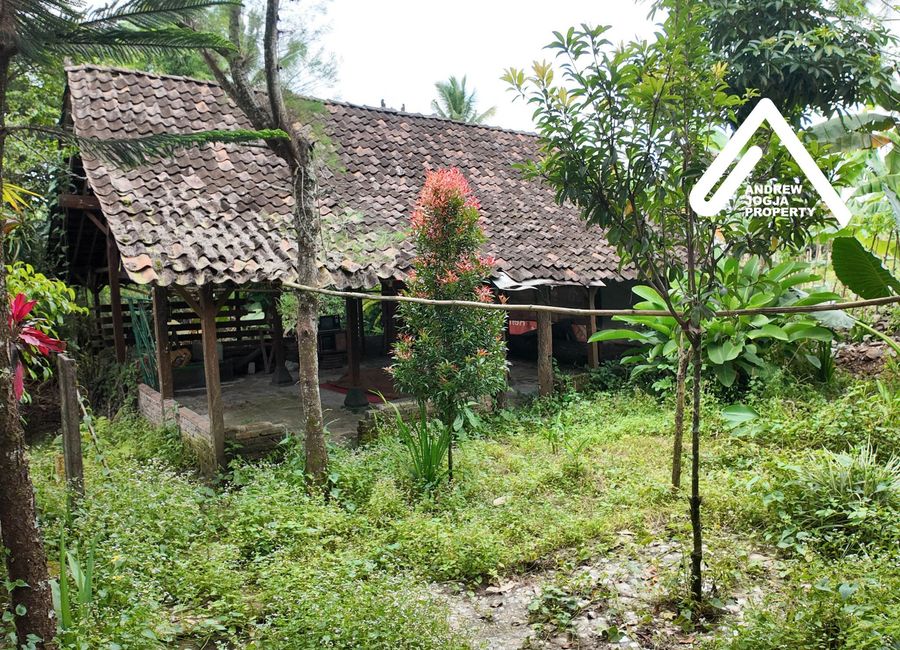 place photo 10