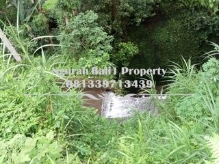 Tanah Murah Dijual Luas 17 Are View Sawah di TPS Ubud