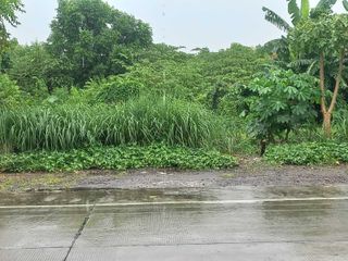 Raya wonoayu sidoarjo  akses kontainer