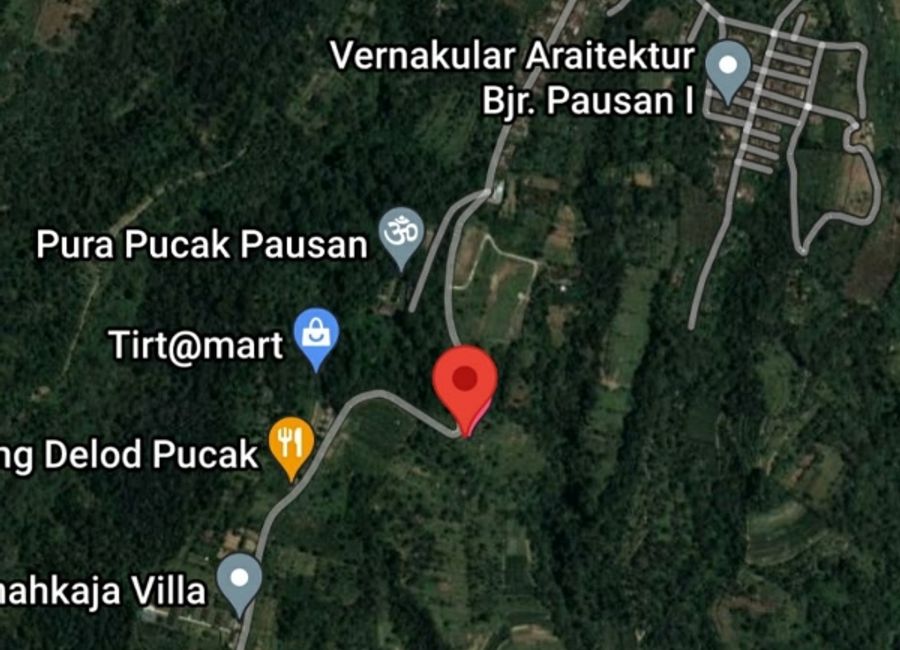place photo 14