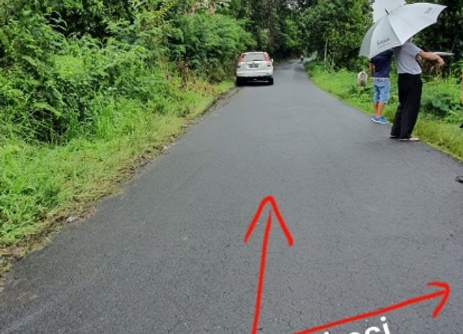 place photo 8