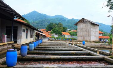 JARANG ADA TANAH DENGAN KOLAM IKAN PRODUKTIF, NEGO DENGAN OWNER