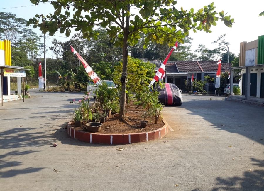 place photo 7