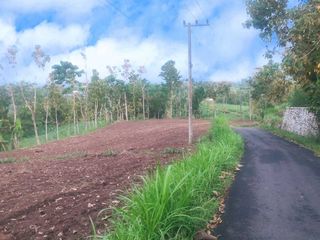 Dijual Tanah View Panorama Bondowoso