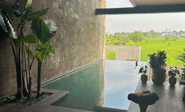 Villa Modern Tropis Nava Tamora Canggu