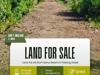 DIJUAL TANAH LUAS 4,5ARE LOOS PANTAI SANUR PADANG GALAK