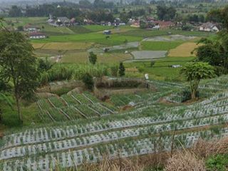 [PRICE REDUCED] Land for sale quickly with beautiful views in Bukittinggi