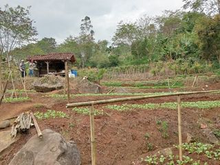 Dijual Tanah Padat Cocok buat Villa Gambung Ciwidey
