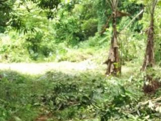 Jual murah! kavling siap bangun dket UT Pondok cabe Pamulang tangsel