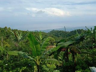 BUC TANAH DIJUAL FULL VIEW LAUT BALI UTARA