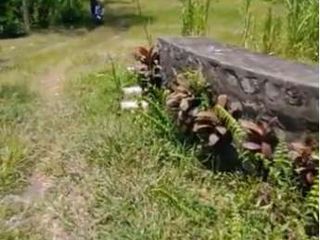 DIJUAL TANAH PINGGIR JALAN RAYA BATURITI BEDUGUL