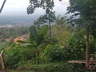 Tanah Dijual di Pandeglang View city keren cocok untuk bikin villa