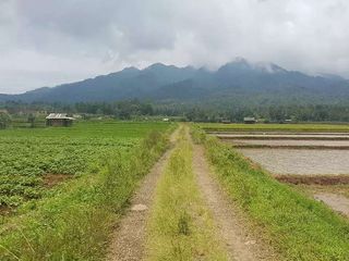 Tanah Dijual di Pandeglang Banten view penta pegunungan