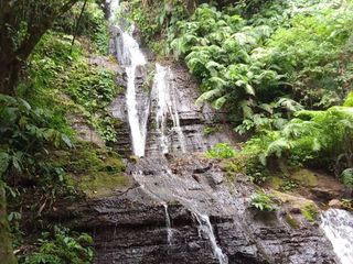 DIJUAL TANAH AIR TERJUN DAN MATA AIR BULELENG