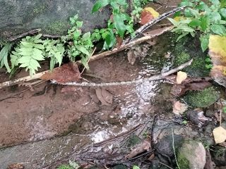 Tanah Dijual di Pandeglang  tersedia sumber air hulu sungai