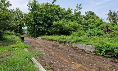 Jual Tanah strategis  Butuh Uang di Lovina Singaraja
