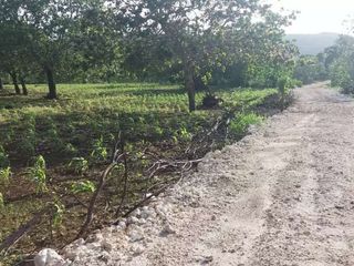 Dijual Tanah peruntukan Toko,Ruko,Gudang,