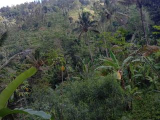Dijual Tanah 1.4 Ha Payangan,Ubud Bali View Indah