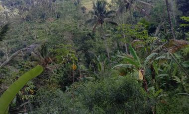 Dijual Tanah 1.4 Ha Payangan,Ubud Bali View Indah