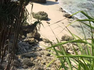 Dijual tanah loss pantai selatan sumba barat.