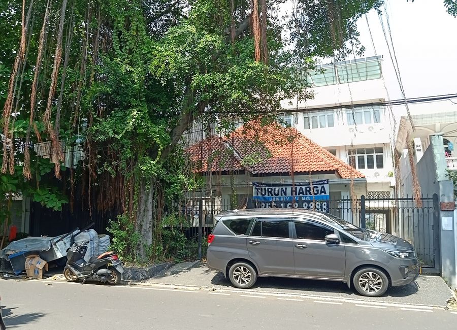 place photo 11