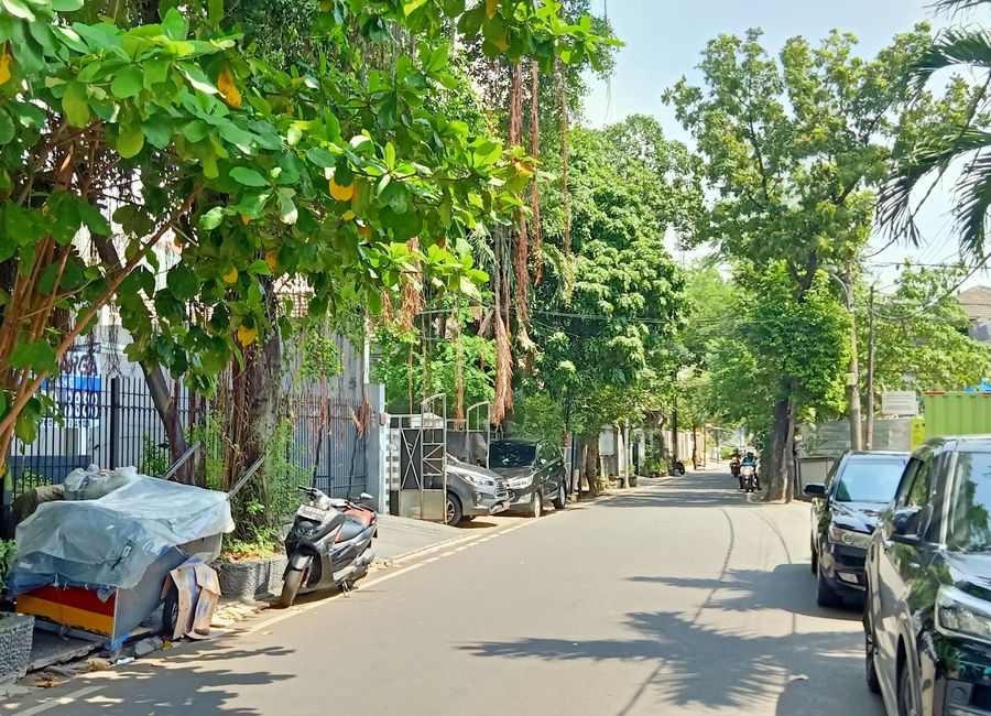 place photo 8