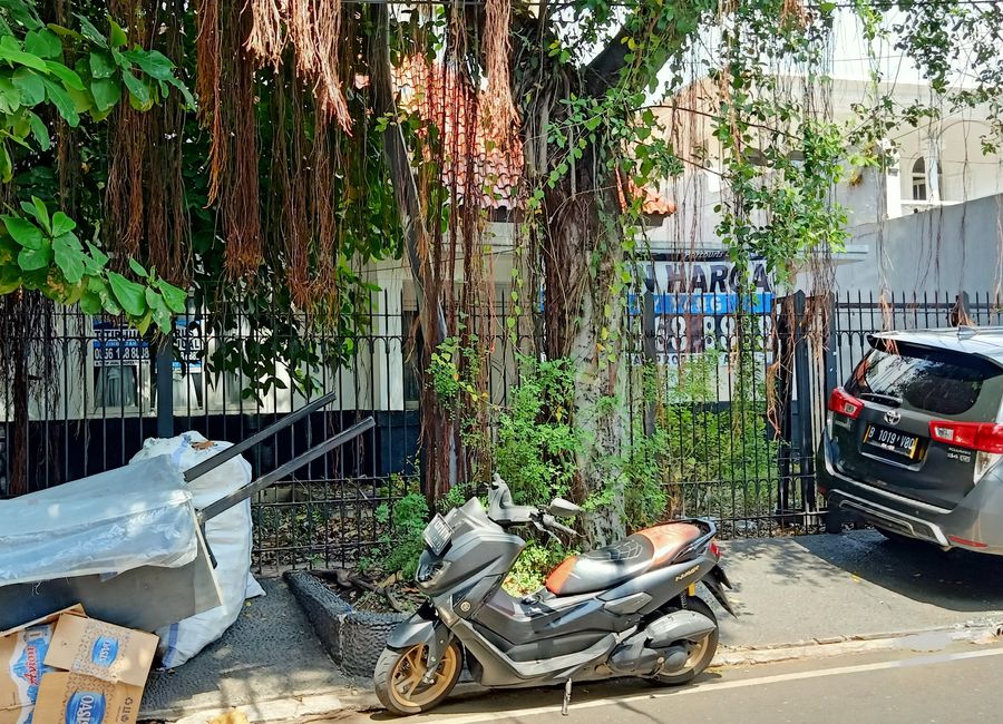 place photo 15