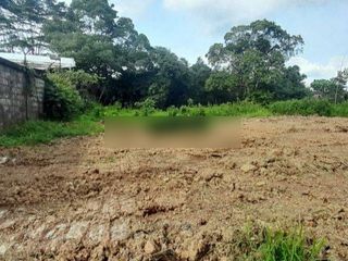 KAN TANAH/LAHAN PINGGIR JALAN COR LOKASI KARIANGAU