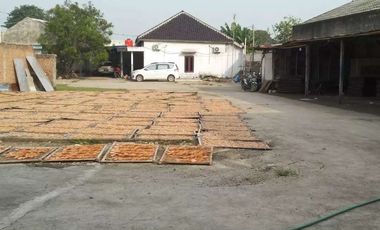 Pabrik Krupuk Udang sudah 10thn.