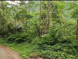 Tanah siap untuk garap di Cineam Tasik