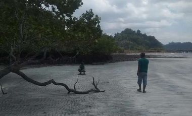 Jual tanah raja ampat
