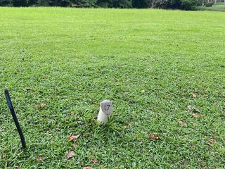 NGOPI SORE DEPAN RUMAH VIEW LAPANGAN GOLF DI SUVARNA SUTERA TANGERANG