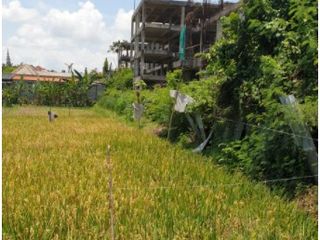 Tanah sewa 20 are di Seminyak