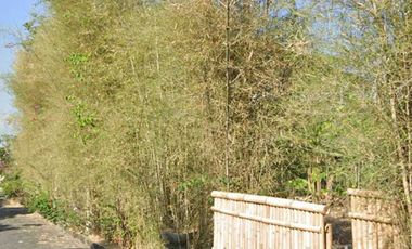 Dijual Tanah Kavlingan 350 m2 Nusa Dua