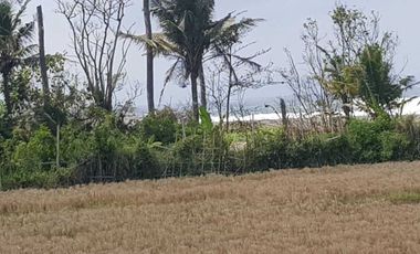 Tanah 12 are Lingkungan Villa View Pantai dan Sungai di Ketewel