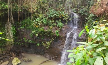 dijual tanah kebun durian dan manggis dengan air terjun di bali