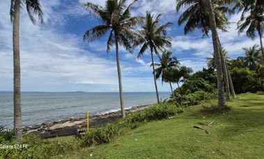 Los pantai / beachfront 2 hektar dapat 2 jalan di jembrana bali