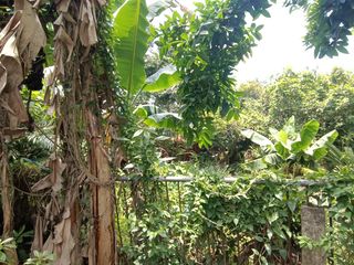 Tanah sewa di gunung malang Balikpapan