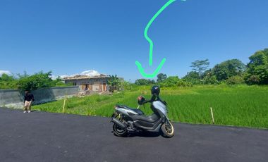 1,5 are Full View Ocean dan Sawah di Gianyar Bali