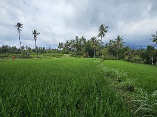 Tanah datar dekat dengan penlok bandara bali utara
