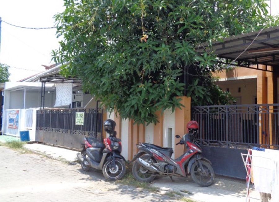 place photo 7