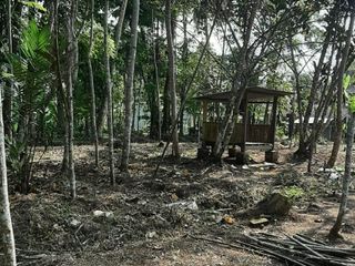 Jual Tanah Lokasi strategis cocok untuk investasi