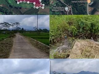 TANAH 11500M ISTIMEWA COCOK UNTUK PERTANIAN DAN AGROWISATA