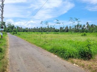 Tanah Bulusan Kalipuro 28.330 m2 dekat Ketapang Indah Hotel