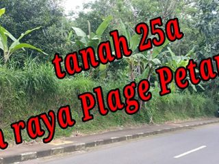 Dijual Tanah di pinggir Jln raya Plage Petang Badung Bali
