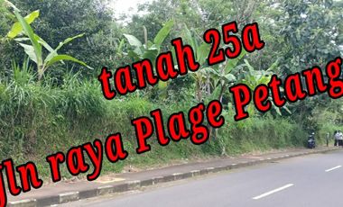 Dijual Tanah di pinggir Jln raya Plage Petang Badung Bali