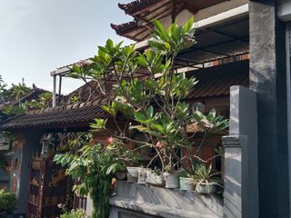 Dijual cepat rumah lantai 2 minimalis perpaduan bali - batubulan - Bali