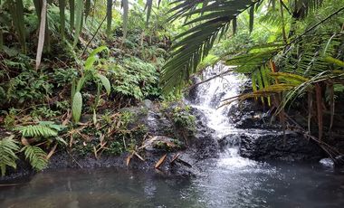 Dijual tanah kebun durian los sungai bebatuan di tabanan bali