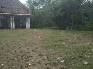 Disewakan Tanah Cocok Untuk Usaha di Pusat Kota Probolinggo